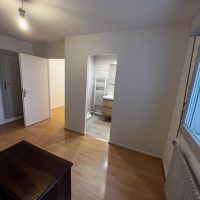 Renovation - Rue Antoine Charial (15)