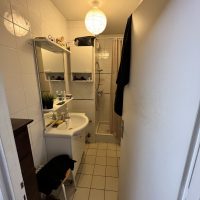 Renovation - Rue Antoine Charial (19)