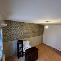 Renovation - Rue Antoine Charial (7)