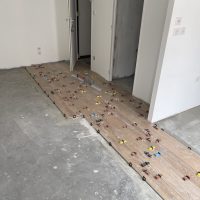 Renovation complete - rue Duguesclin (3)