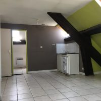 Renovation studio - Lozanne (2)